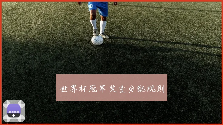 世界杯冠军奖金分配规则